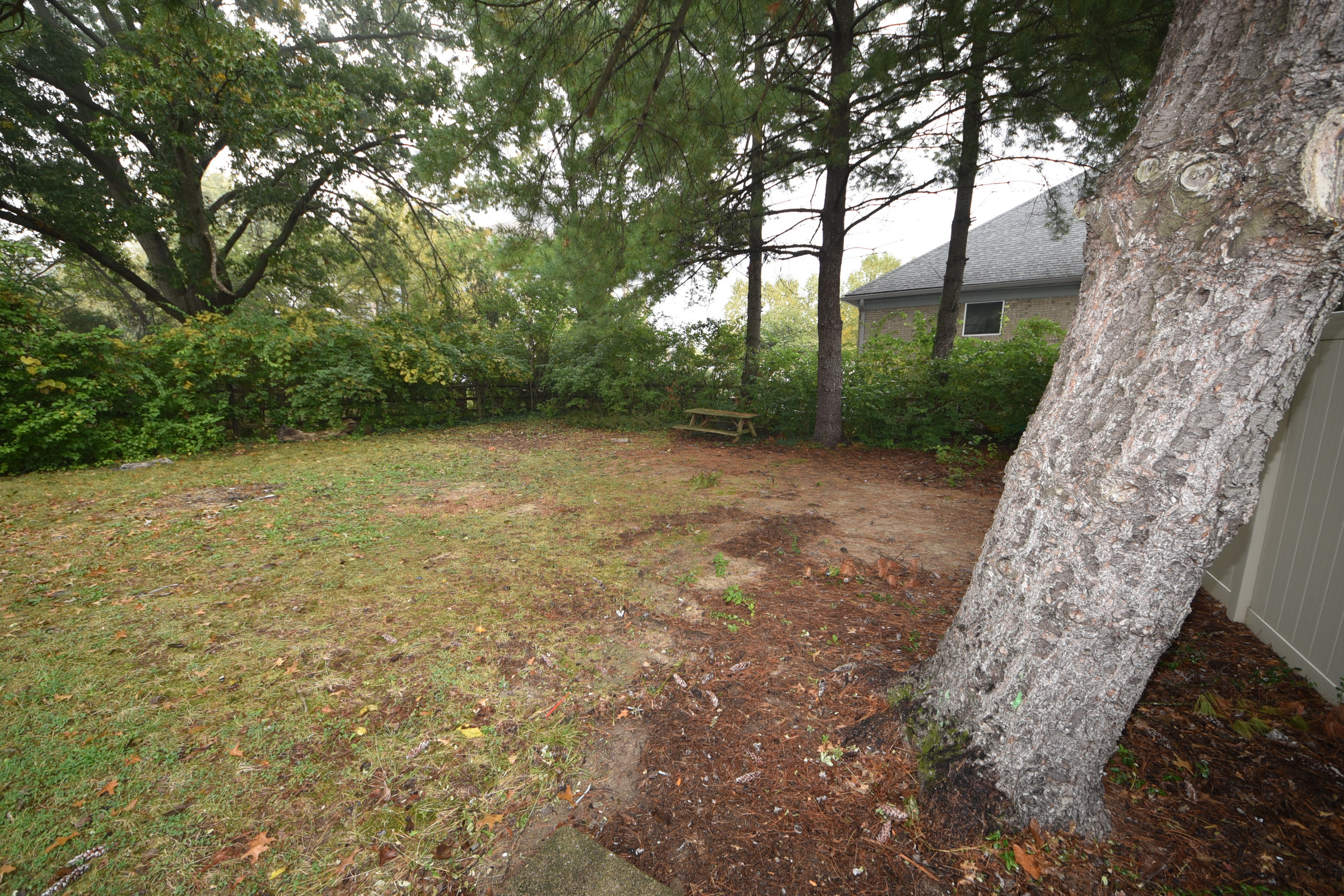 Backyard at 7222 Chetbert Drive